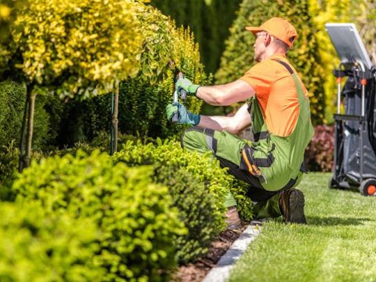 Amenajare grădină - LAMIX ENTERPRISE